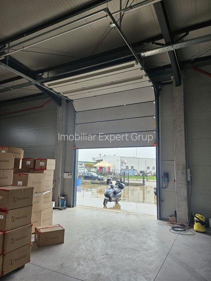 Hala noua 595 mp Pantelimon ( B-dul Biruintei ) - 4