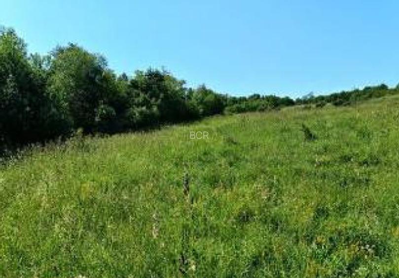 Teren extravilan 8.008 mp, HUNEDOARA, HASDAT - 5
