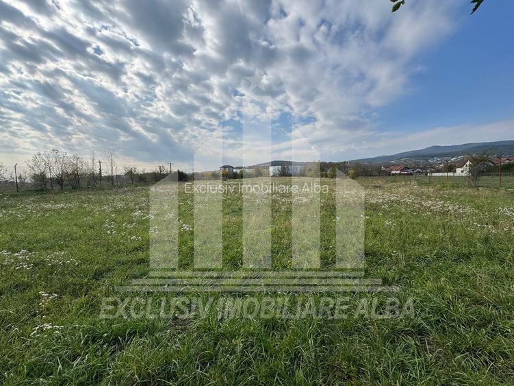 Teren intravilan | De vanzare | 5841 mp | 38 ml deschidere | Cetate - 4