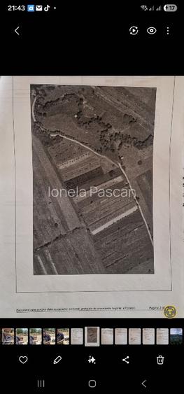 Teren extravilan de vanzare  - 3