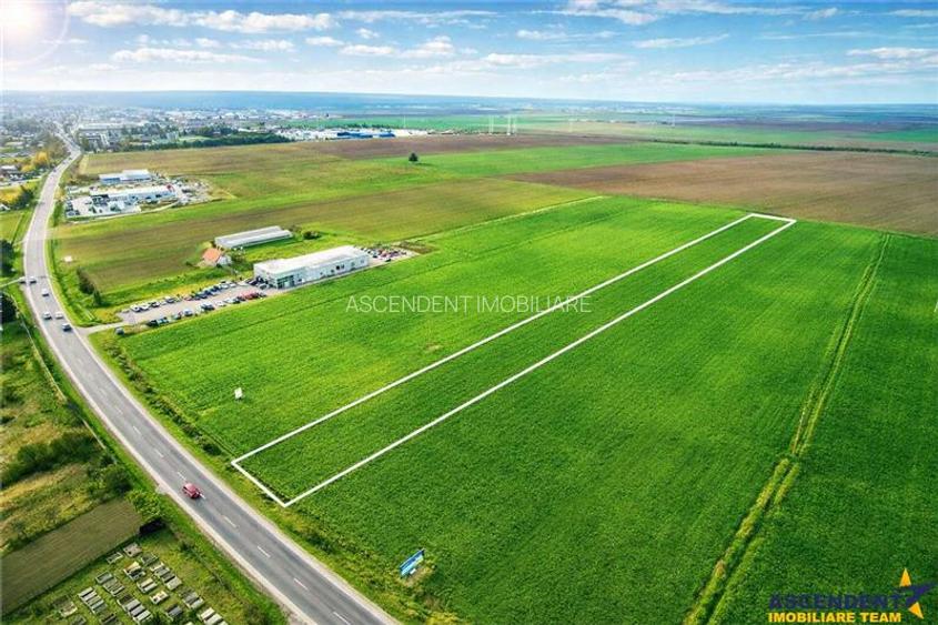 FILM! Teren intravilan 7.850 mp, Chilieni, Sfantu Gheorghe - 2