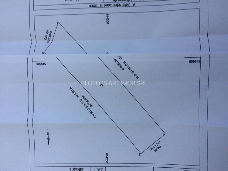 Vanzare Teren Sinesti - 4