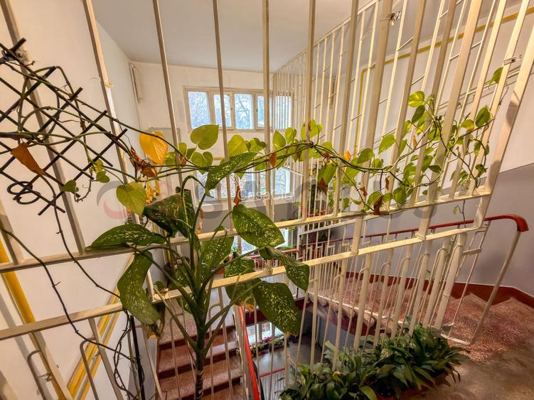 Apartament 3 camere renovat, zona BT Brancusi ! - 13