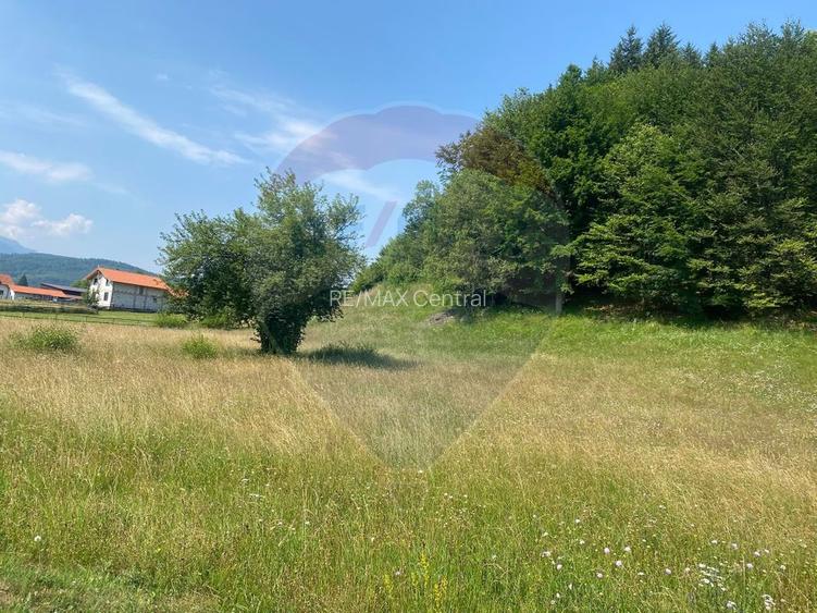 Teren Extravilan 3866 mp in Vama Buzaului la Strada Principala - 5
