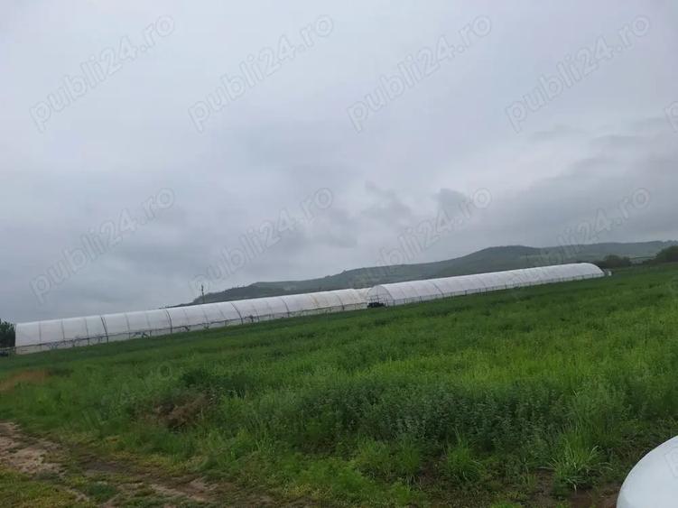 🌱 5.000 MP cu 4 SOLARII | EXPLOATAȚIE AGRICOLĂ | CĂLINEȘTI, ARGEȘ