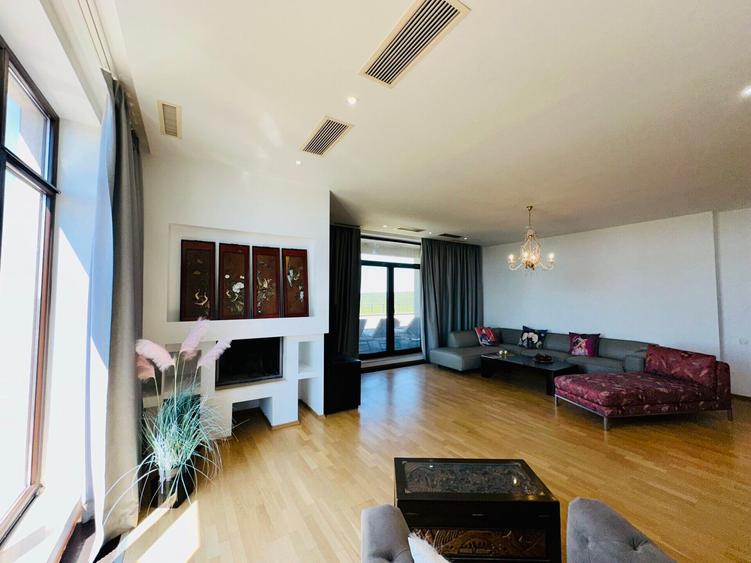 Aleea Privighetorilor- Penthouse 833 mp utili mobilat complet 3600 Euro + TVA