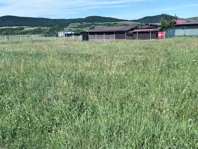 OKAZIE ! Teren INTRAVILAN I 449 mp. I Vanzare I Alba Iulia | Zona MICESTI cu PUZ - 2