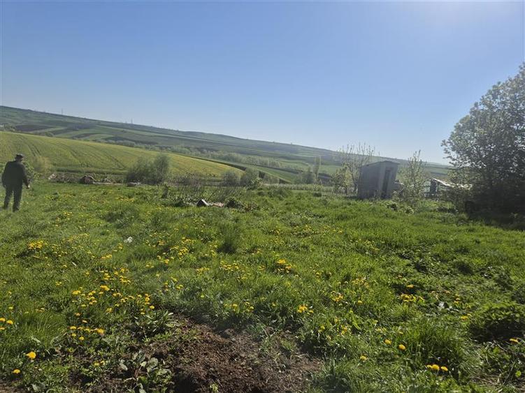 Teren intravilan Moara Nica - 1950 mp