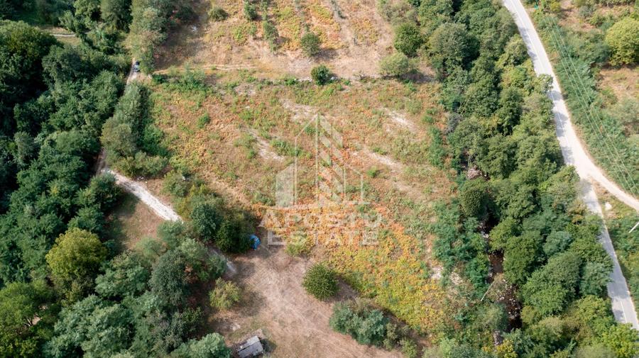 Teren de vanzare, 5000mp, cu iesire la rau, in Borlova, Muntele Mic