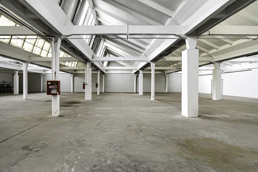Hala Industriala de inchiriat 1.174 mp cu rampa egalizatoare, Arad