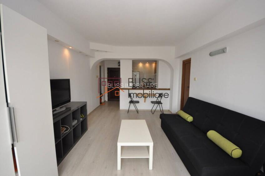 Apartament O cameră în zona Cismigiu (Gradina) - 4