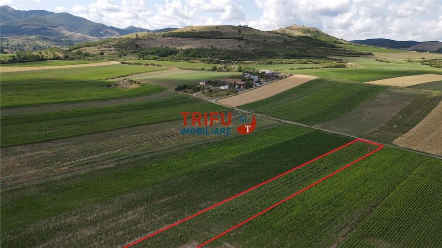 Teren de vanzare Ighiu 1500mp