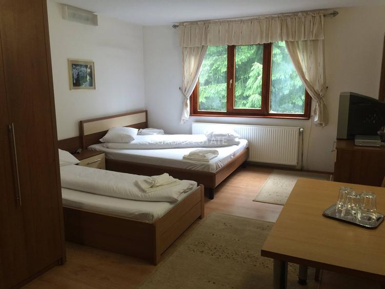 Vanzare cabana intr o zona de vis Petrosani Cheile Jietului - 10