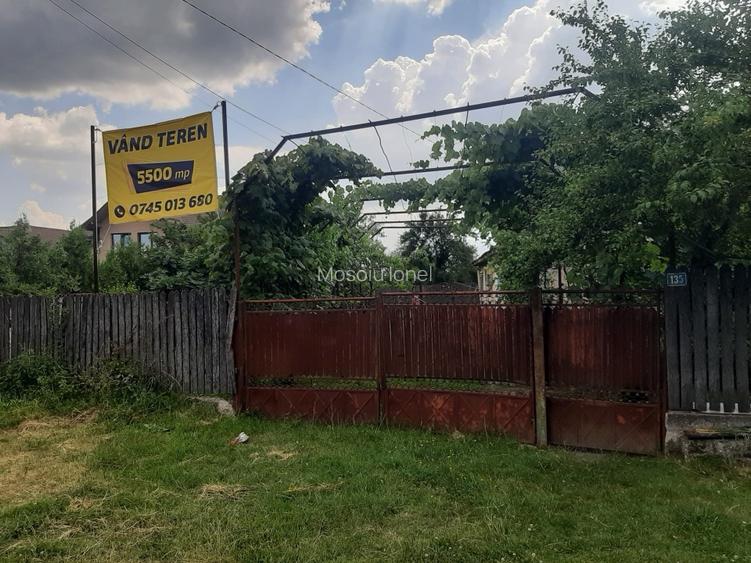 PROPRIETAR Teren stradal ILFOVENI - 4