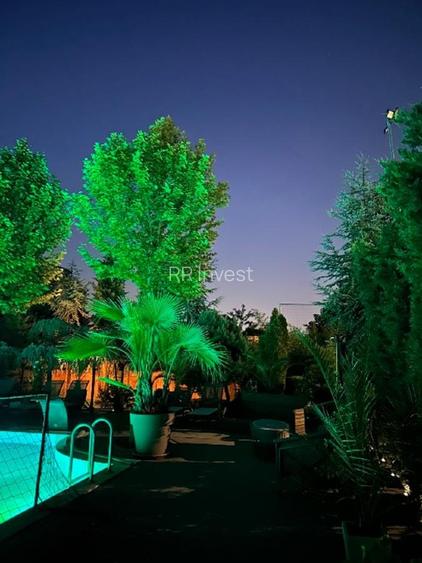 Vila grandioasa, Gradina Japoneza, SPA, Crama, Teren Tenis, Foisor, Iaz Pesti - 11