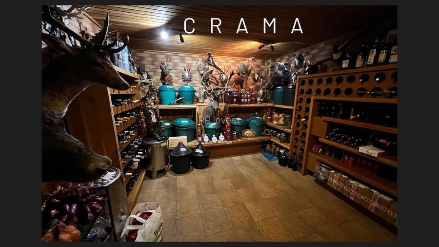 Vila grandioasa, Gradina Japoneza, SPA, Crama, Teren Tenis, Foisor, Iaz Pesti - 15