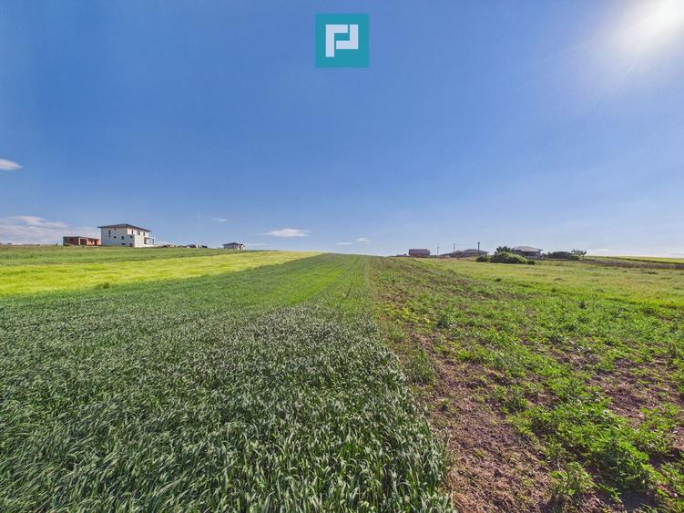 Teren intravilan 3500 mp Cihei,