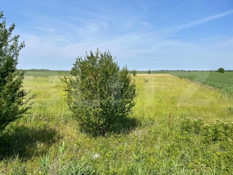 Teren extravilan, 4.994 mp, Targoviste - 4