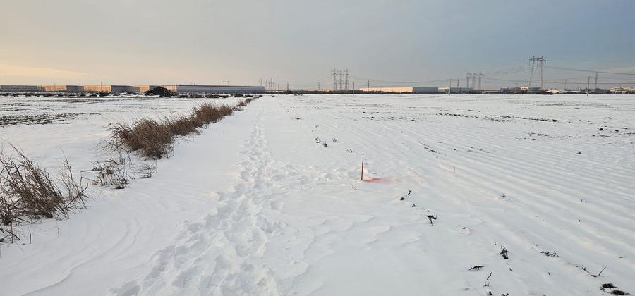 Teren Investitie - Pretabil Industrial, Logistica