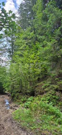 Teren extravilan, 15621 mp, zona Șandru-Campulung Moldovenesc - 4