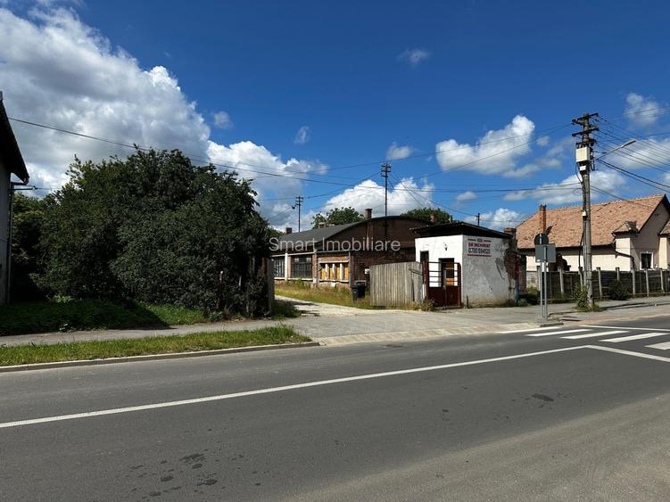 Teren intravilan 16058 mp + hale Calea Surii Mici - 8