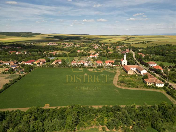 Teren de 1.6ha ideal pentru dezvoltare rezidentiala sau proiect turistic - 9