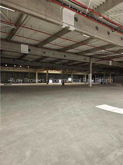 Spatiu Industrial - 7000 mp - Logistica - Productie - Depozitare - Distributie - 18