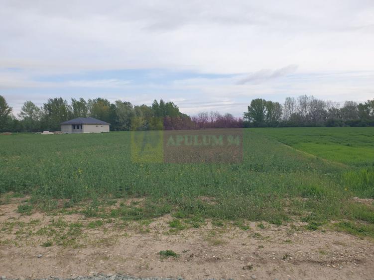 Teren ideal dezvoltare imobiliară în Măgurele strada Atmosferei