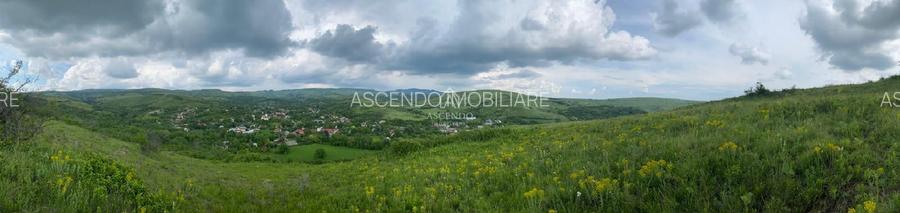 Domeniu 15.900 mp în Fințești | Casă + Investiție Dealu Mare - 17