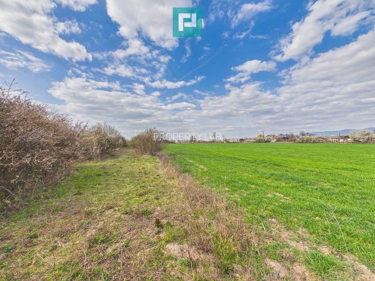 Teren extravilan, 1 ha, în orașul Sebiș, Arad - 4