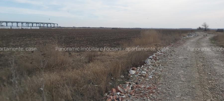 Terenuri intravilane de vanzare Focsani ,4,5 Ha Focsani - 29