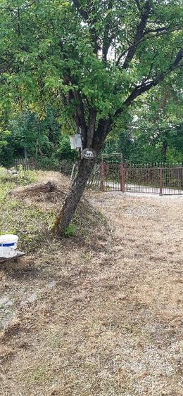 Teren intravilan de închiriat Slanic Prahova
