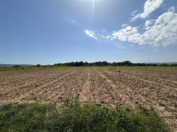 Teren langa padure pentru casa, Cercu, Barnova, de la 500mp la 4000mp