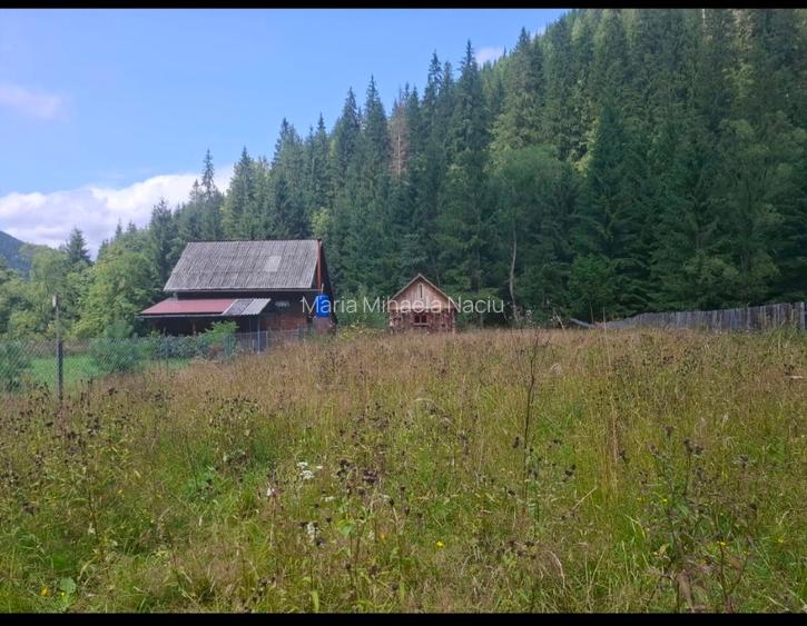Teren extravilan Capul Corbului - 5