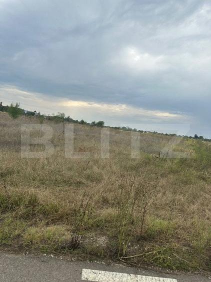 Teren intravilan/extravilan, 1500 mp, Cazaci