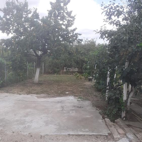 Vind casă Micalaca din cărămidă  - 4
