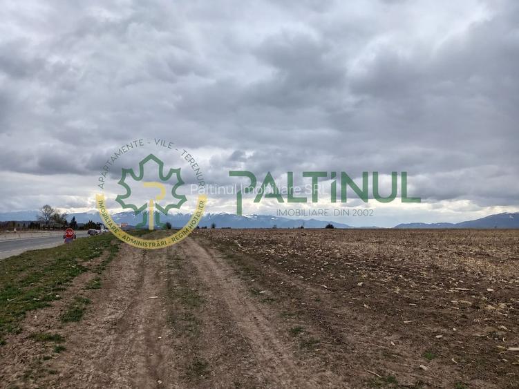 Teren de vanzare, 4.000 MP, Șelimbar, Zona Ion Art, investitie - 5