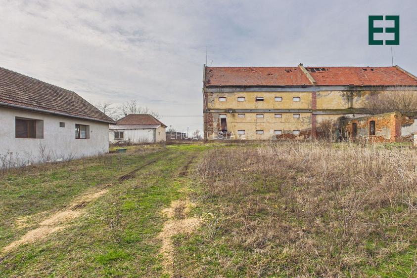 Teren de 8.632 mp + Proprietate Industrială - Voiteg - Județul Timiș - 23