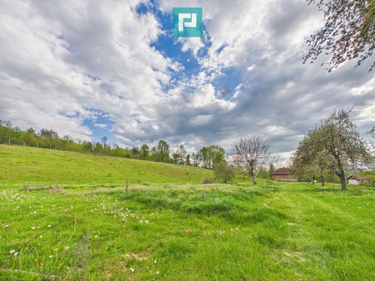 Casă cu teren de 17.681 mp, în loc. Hălmăgel, Arad