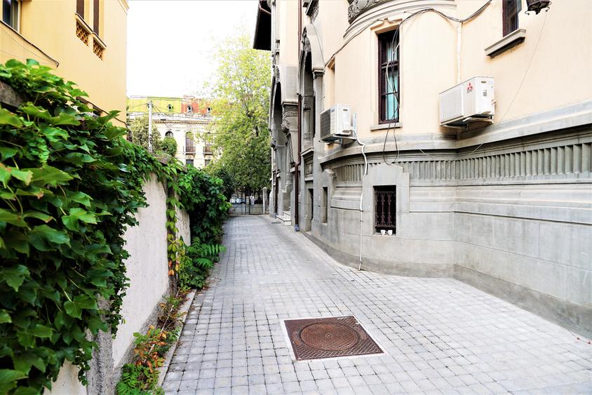 Vila reprezentativa - Dacia