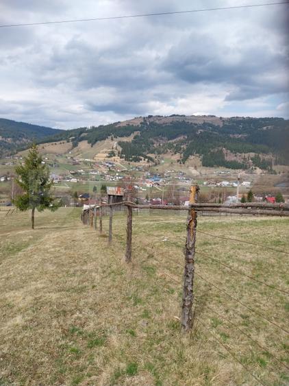 Teren intravilan, 4000 mp, Vatra Dornei