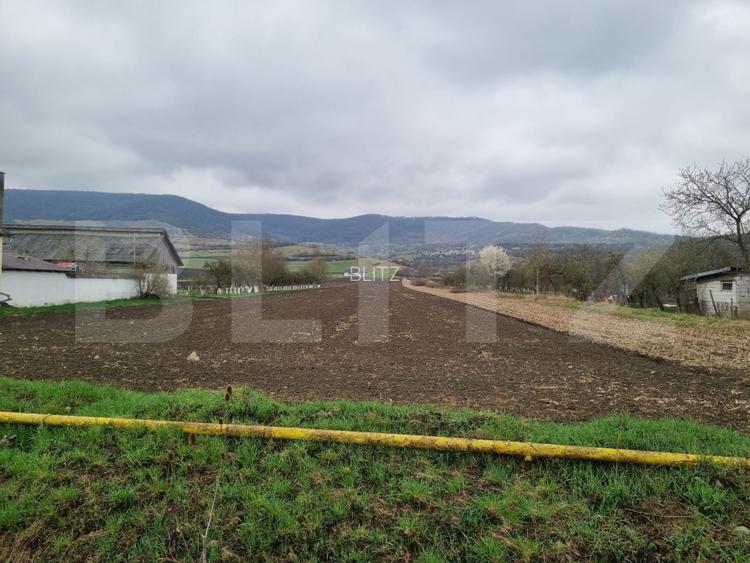 Teren 10 ari – Arcalia | Ideal pentru casă | La 20 min de Bistrița - 4
