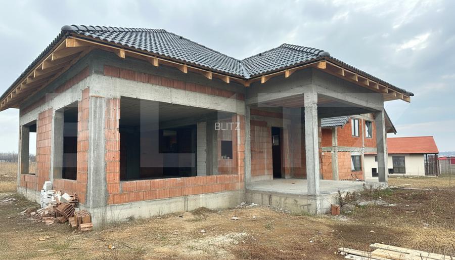 Casa superba pe stil American, Paleu, 140mp - 5