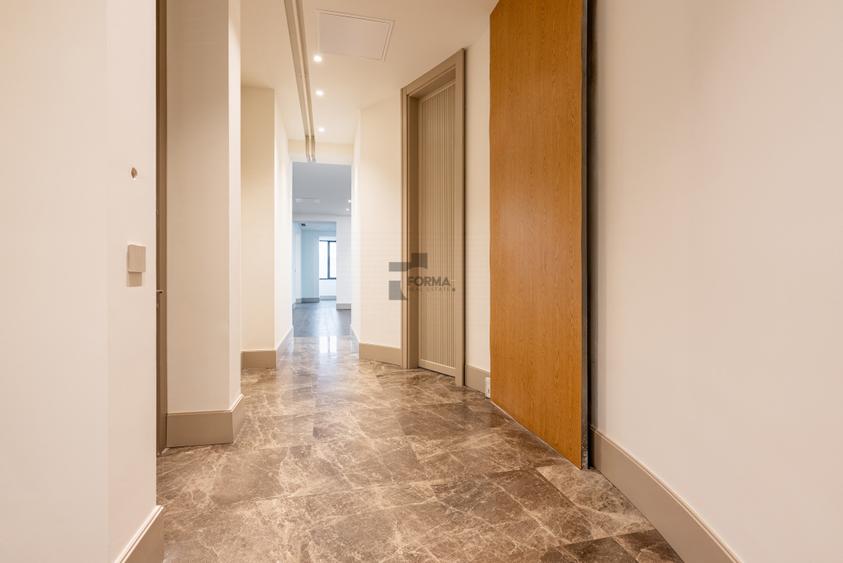 Floreasca Ultra-Lux — Penthouse 317 mp