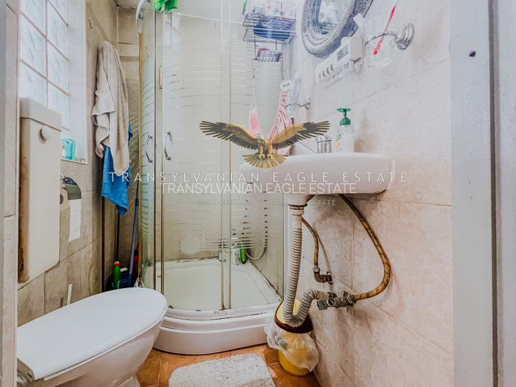 Pet friendly|Apartament primitor situat la vila in Andrei Muresanu - 10