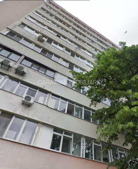 Lacul Tei stradal vav Facultatea de Constructii,langa Parcul Tei - 2