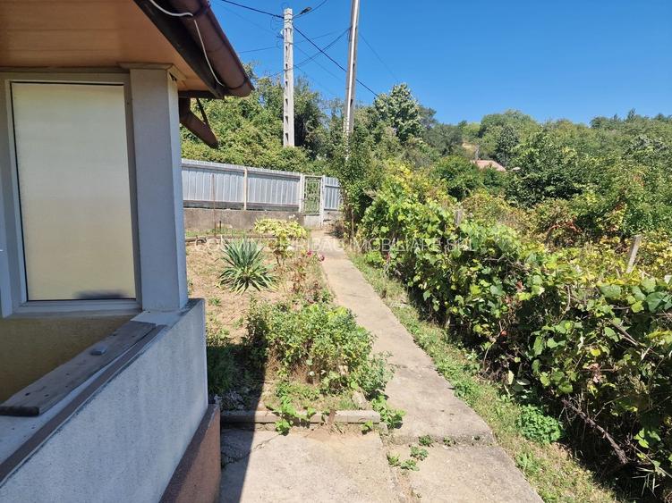 Casa in mediu rural cu teren - 25