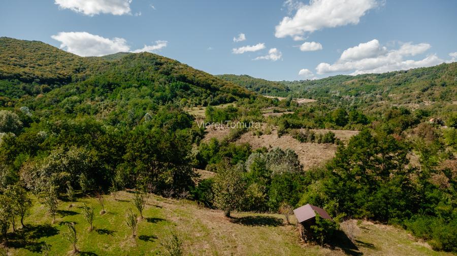 Teren cu suprafața de 5100mp amplasat într-o zonă superbă de munte - 2