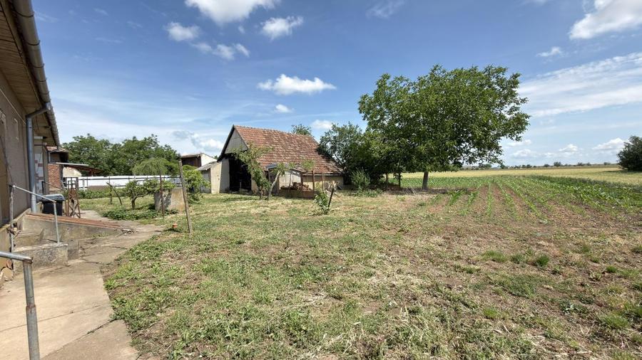 Casă 4 camere, Teren 1955 mp Str. Vezendiului Nr. 366 - Loc. Petrești, Satu Mare