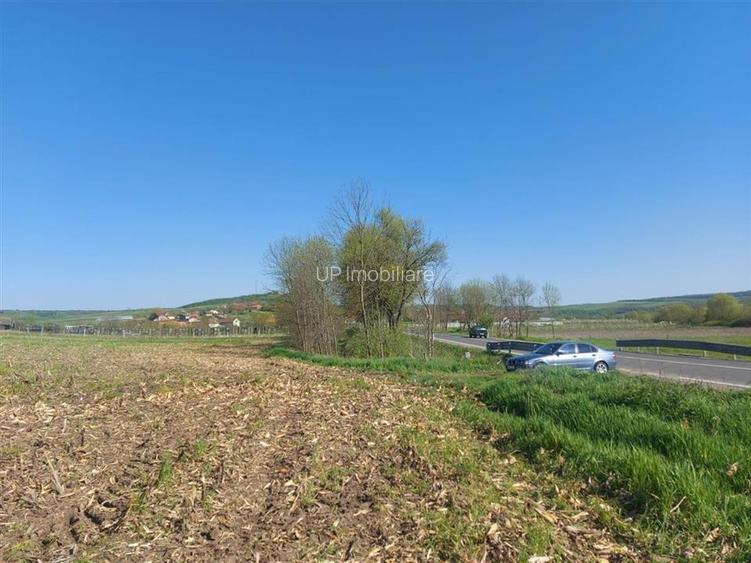 TEREN INTRAVILAN | 4300 MP | HIDISELUL DE SUS | BIHOR - 5